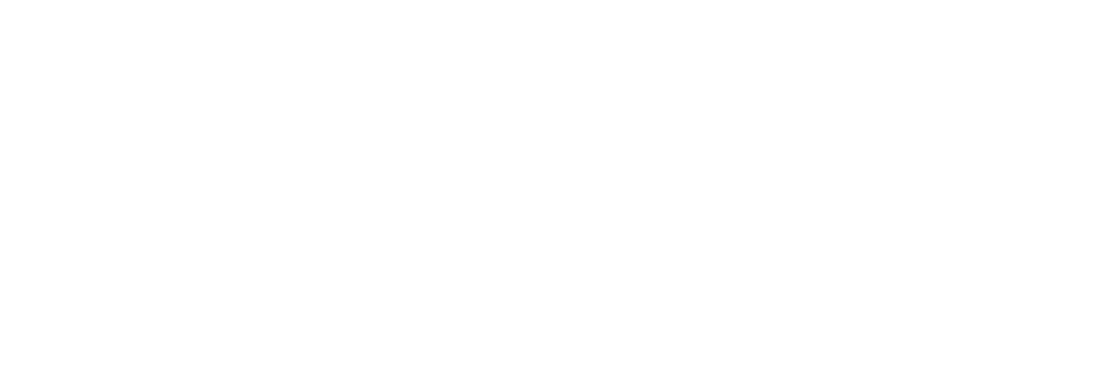 Broadsword Defense Security